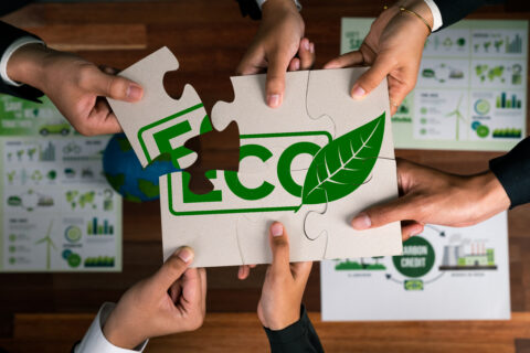 Top view cohesive group of business people forming jigsaw puzzle pieces in environmental awareness symbol as eco corporate responsibility as sustainable solution for greener Earth.